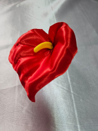 Capete de flori rosu